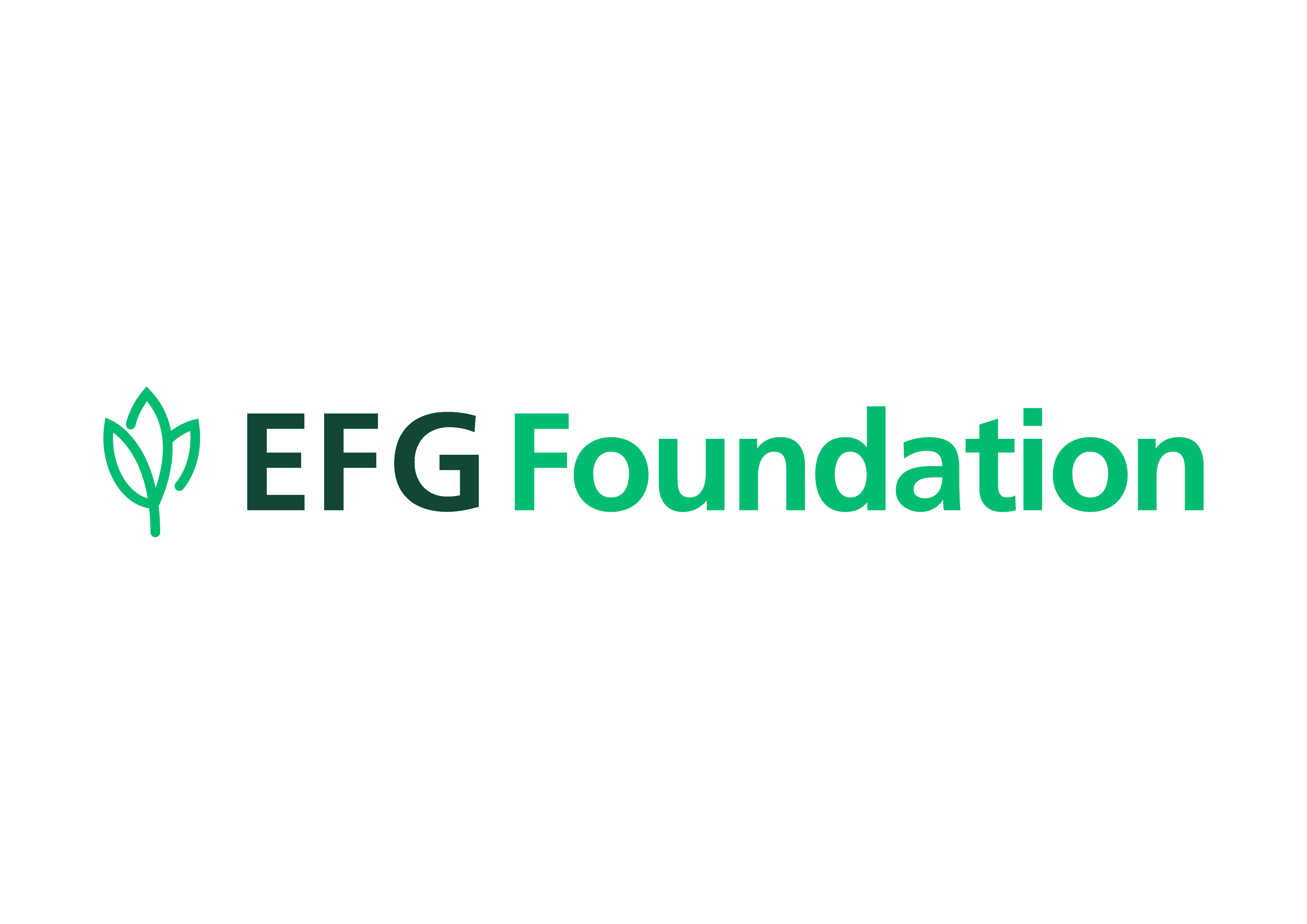 EFG Foundation 